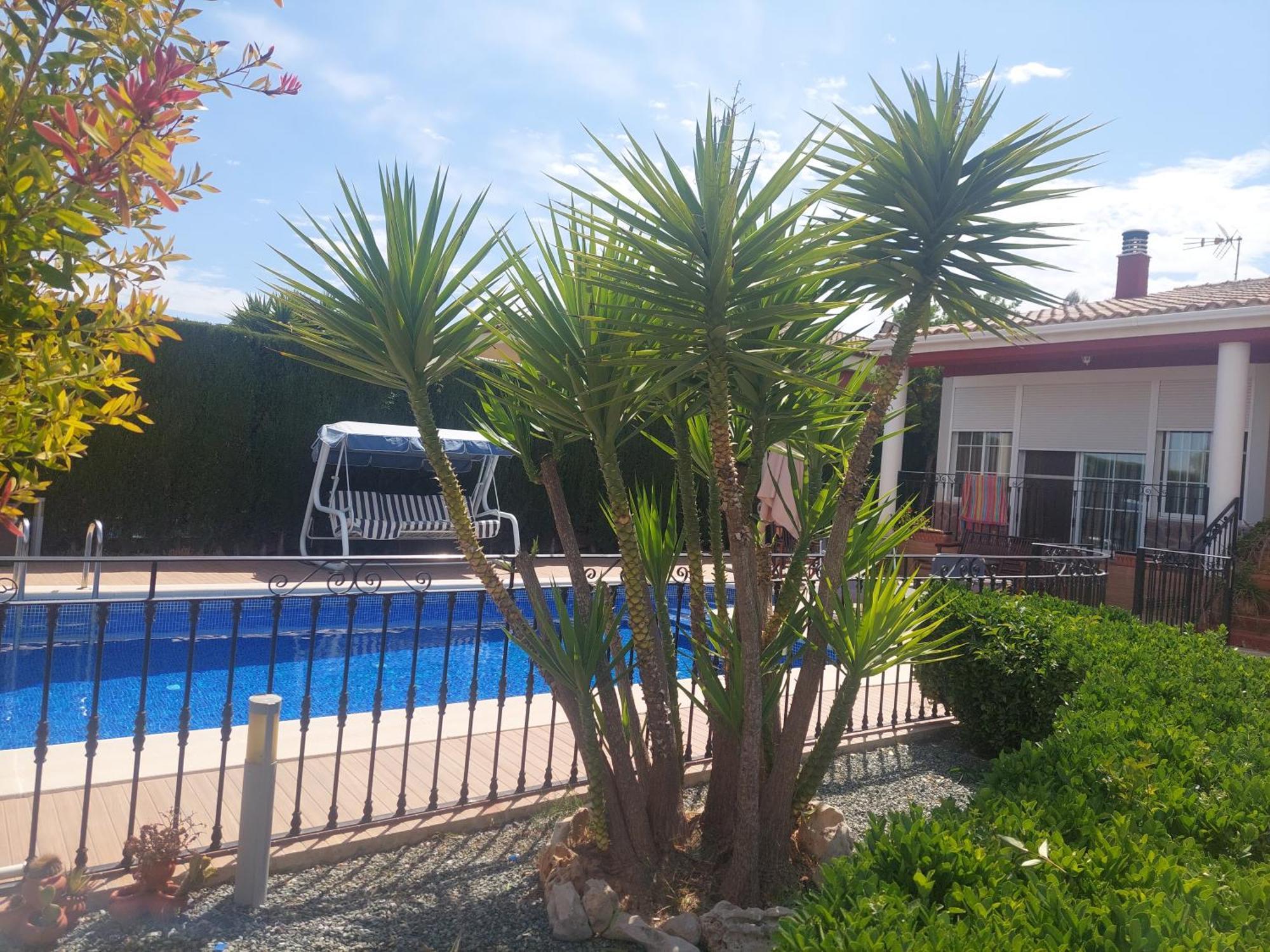 Con Piscina En Lliria